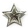 STAR LIGHT WH Lady Pendant GDP-53770 SI